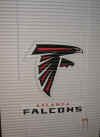 Falcons mini (2).JPG (338016 bytes)